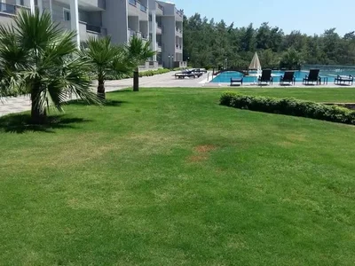 Zespół mieszkaniowy Tropicana Complex