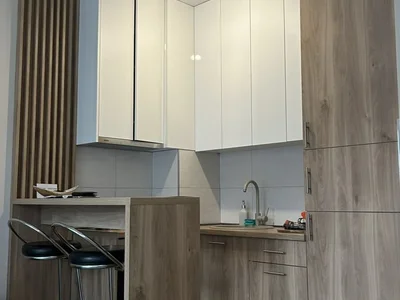 Wohnviertel Stan 30 m² na Izdavanje – Zagorič, Podgorica