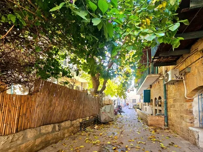 Quartier résidentiel Appartement de charme a vendre a nahlaot , avec propriété du toit- jerusalem immobilier 026786595