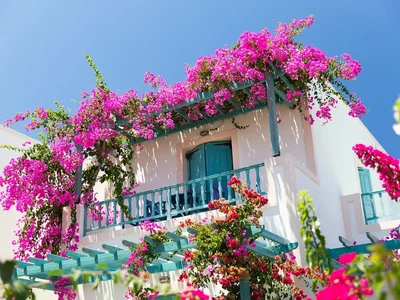 Rental income of up to €60,000 per year. In Greece, short-term rentals are growing in popularity