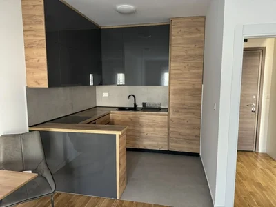 Wohnviertel Stan 47 m² na Izdavanje – Zabjelo, Podgorica