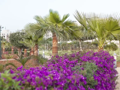 Wohnviertel Thalassa Beach Resort