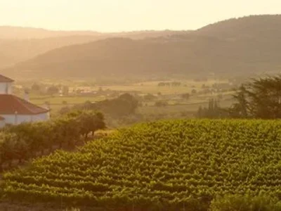 Complejo de villas Quinta de Santo António