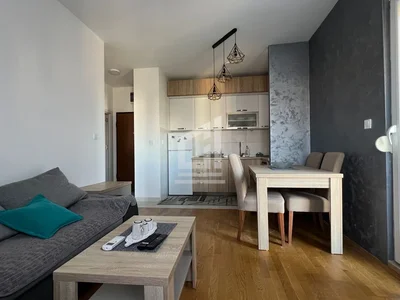 Wohnviertel Stan 40 m² na Prodaju – Zabjelo, Podgorica