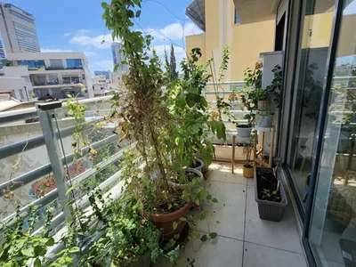 Dzielnica mieszkaniowa Rehov nachmani coeur historique de tel aviv superbe appartement renove