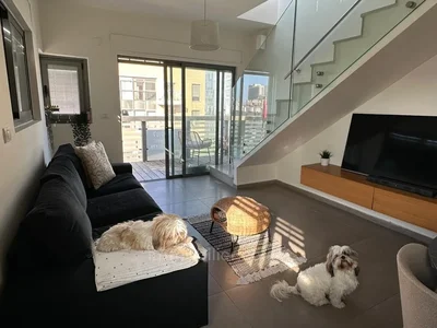 Residential quarter A vendre duplex rooftop dexception tel aviv rue dizengoff