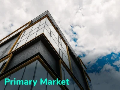 Primary Real Estate Market: What You Need to Know