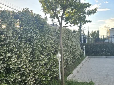Villa Villa Serenity,6 km from Qerret Beach(entrance of Kavaje)