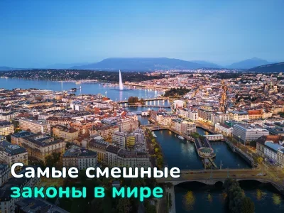 Можно ли назвать свинью Наполеоном? Нелепые законы со всего мира, в которые сложно поверить