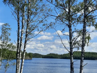 Villa New with Scandinavian design near Helsinki