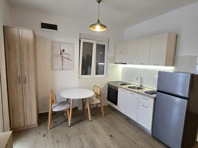 Wohnviertel Stan 30 m² na Izdavanje – Momišići, Podgorica