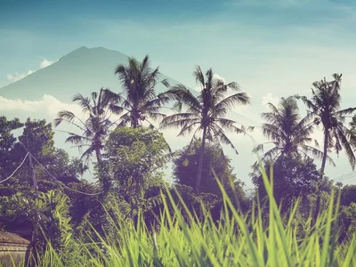 How to live in Bali without paying taxes for 10 years? Indonesia offers a new visa