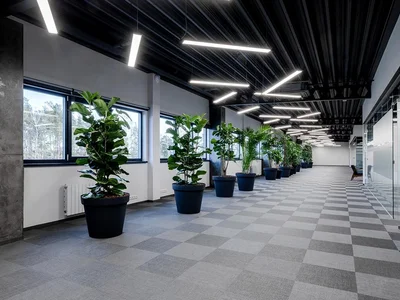 Commerce Lidostas Parks