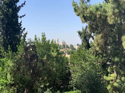 Dzielnica mieszkaniowa Appartement a louer a jerusalem abu tor