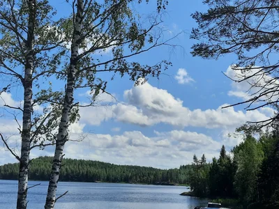 Villa New directly on Saimaa beach