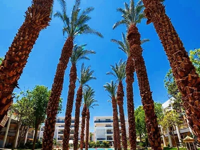 Barrio residencial Ideal investissementpied a terre 2 pieces a vendre en rez de jardin dans une residence reputee deilat