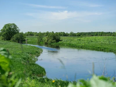 Hüttendorf Lubimovo