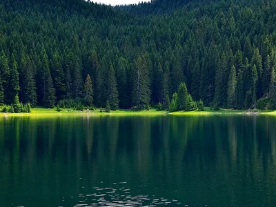 Kamienica Taunhaus Zhablyak
