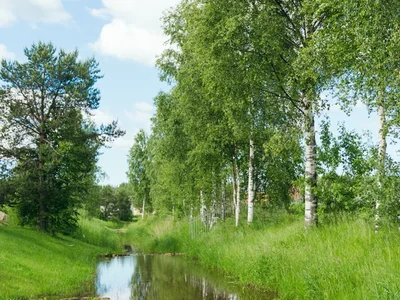 Hüttendorf Korkinskij Rucej
