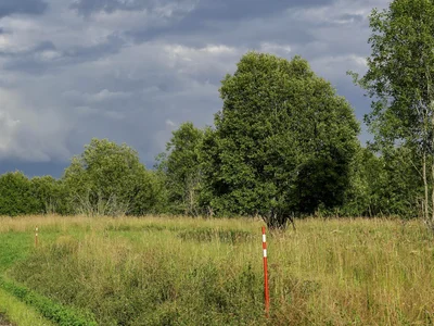 Cottage village Levada 2