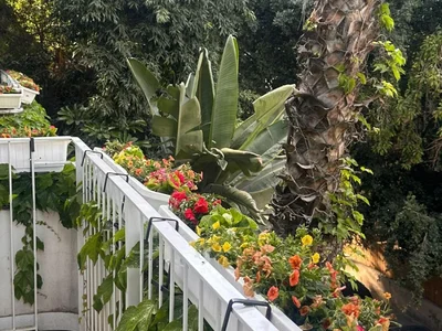 Жилой квартал Magnifique 5 pieces entierement renove pres de rothschild rue nachmani