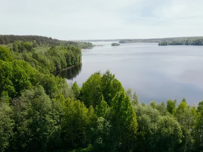 Hüttendorf Ucastki v Grecuhino