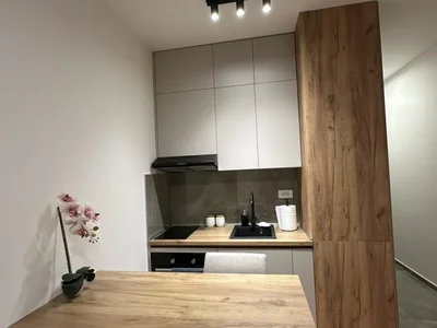 Wohnviertel Stan 28 m² na Prodaju – Zabjelo, Podgorica