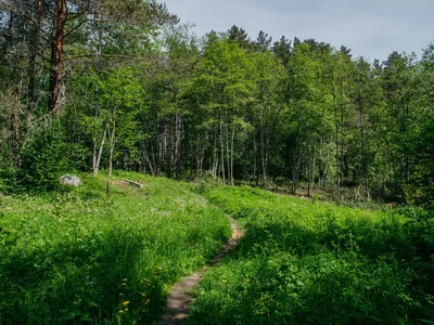 Hüttendorf Ucastki v Grecuhino