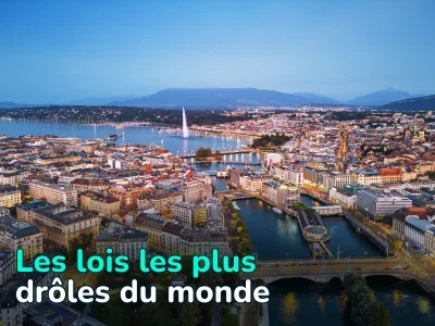 Un cochon peut-il s'appeler Napoléon ? Des lois ridicules du monde entier qui sont difficiles à croire